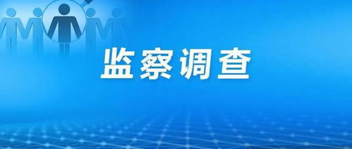 上海聯(lián)合產(chǎn)權(quán)交易服務(wù)一公職人員接受監(jiān)察調(diào)查，企業(yè)管理服務(wù)領(lǐng)域監(jiān)管持續(xù)深化